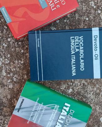 Vocabolari e dizionario