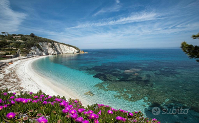 LAST MINUTE A 3 min.a piedi dal.mare