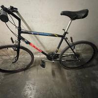 Bottecchia Mountain Bike