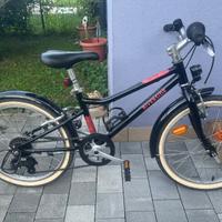 Bici raggio 20