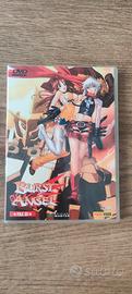 Burst Angel DVD File 01 Panini Video