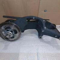 Forcellone posteriore speed triple 1050