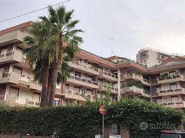 Corso Italia stanza in appartamento condiviso
