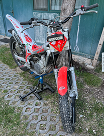 Trial BETA REV3 275 2T