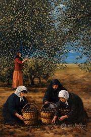 Imperia : Raccolta olive. Stampa Fine Art. cm30x40