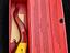 Immagine 6