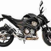 Special Carbon Kawasaki Z800 IE 2012-2016