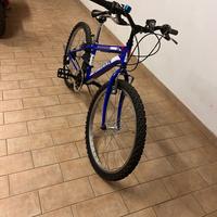 Bici ragazzo 24’