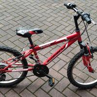 Bicicletta
