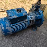 pompa centrifuga calpeda