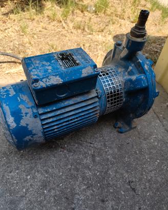 pompa centrifuga calpeda