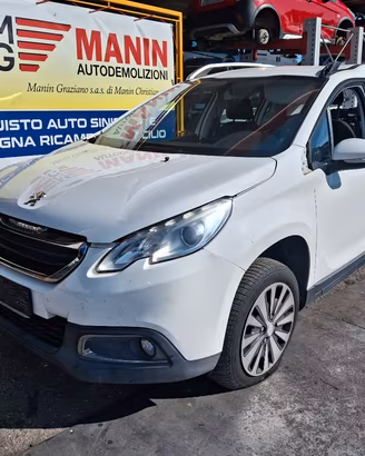 Ricambi Peugeot 2008 2013