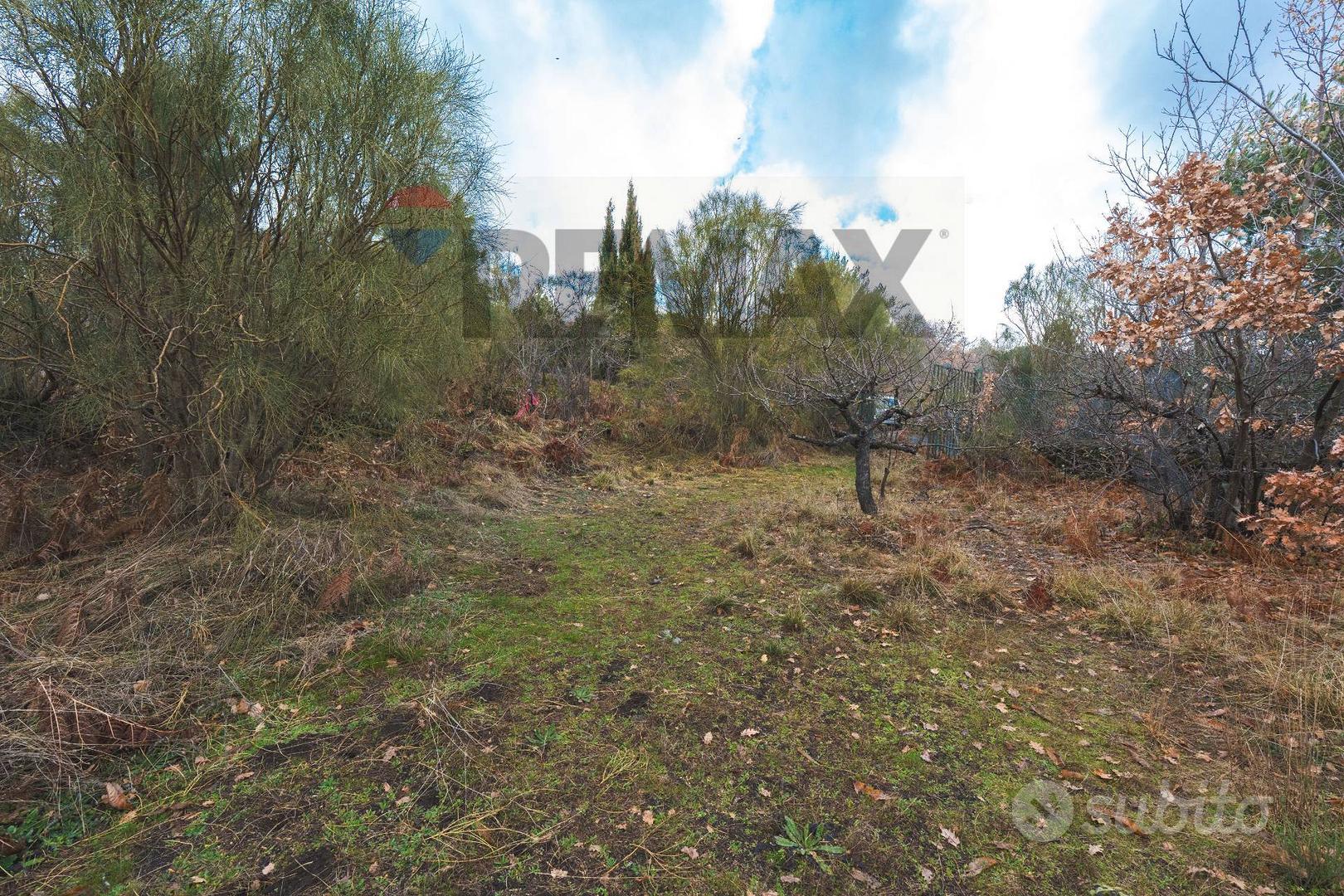 Terreno - Biancavilla - Vista 4