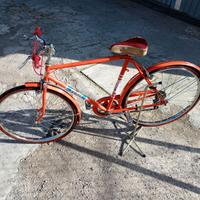 Bicicletta da ragazzo