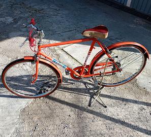 Bicicletta da ragazzo