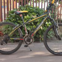 Bici 24 bambino