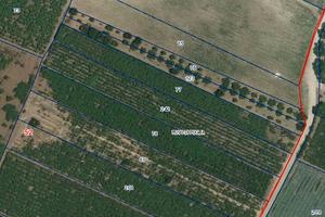 Terreni agricoli irrigui a Ruvo di Puglia