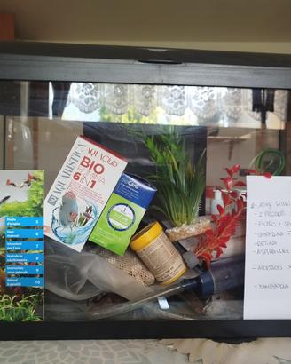 Acquario per pesci piccoli