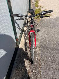 Bicicletta MTB bambino