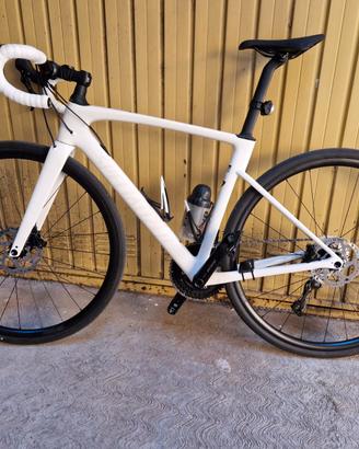 specialized roubaix