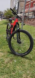 EMTB KTM Kapoho