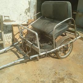 Carrozza