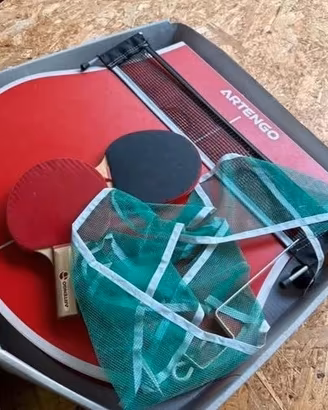 Tavolo da Ping Pong - Artengo