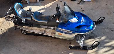 Motoslitta arctic cat bearcat 660 turbo