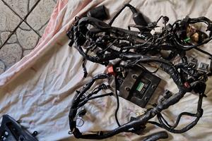 Impianto elettrico ER6N 2006