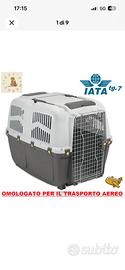 IATA trasportino omologato