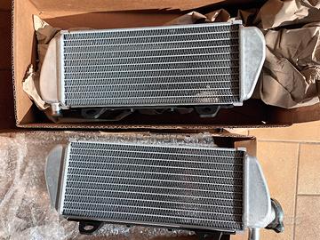 Coppia radiatori enduro KTM 450 2017