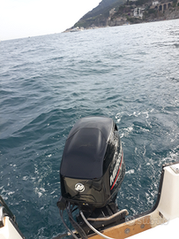 Vendita motore nautico Mercury 40 cv anno 2020