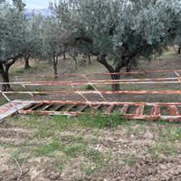 Scala in ferro