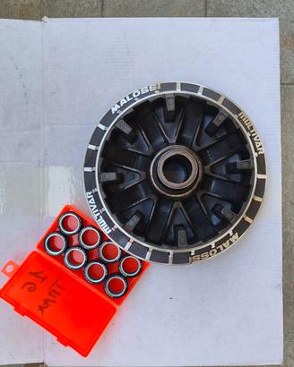 variatore Malossi Tmax 560