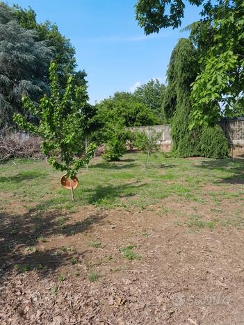 Terreno agricolo recintato con acqua potabile