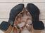 Immagine 4