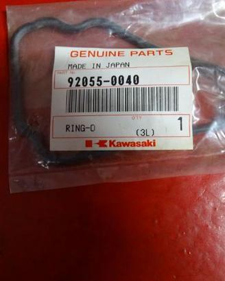 VARIE MINUTERIA KAWASAKI ZX10R