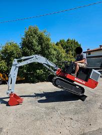 E247- Escavatore Baraldi 102/B