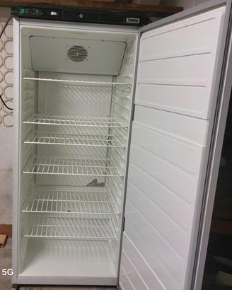 congelatore Zanussi