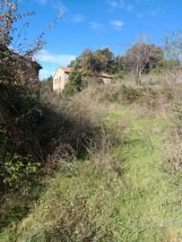 Azienda agricola