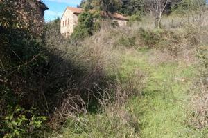 Azienda agricola