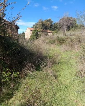 Azienda agricola