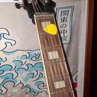 chitarra Eko Ranger R12 corde amplificata