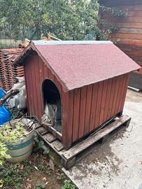 Cuccia cane taglia media