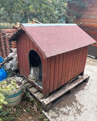 Cuccia cane taglia media