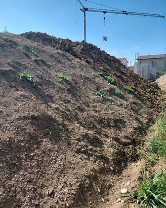 Terra per giardino