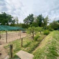 Terreno Edificabile a Golasecca