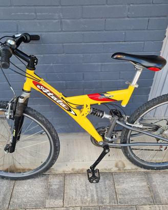 bici MOUNTAIN BIKE