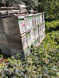 Arnie in legno su misura per api. 22x43x33 h