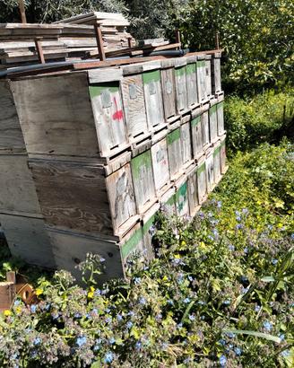 Arnie in legno su misura per api. 22x43x33 h